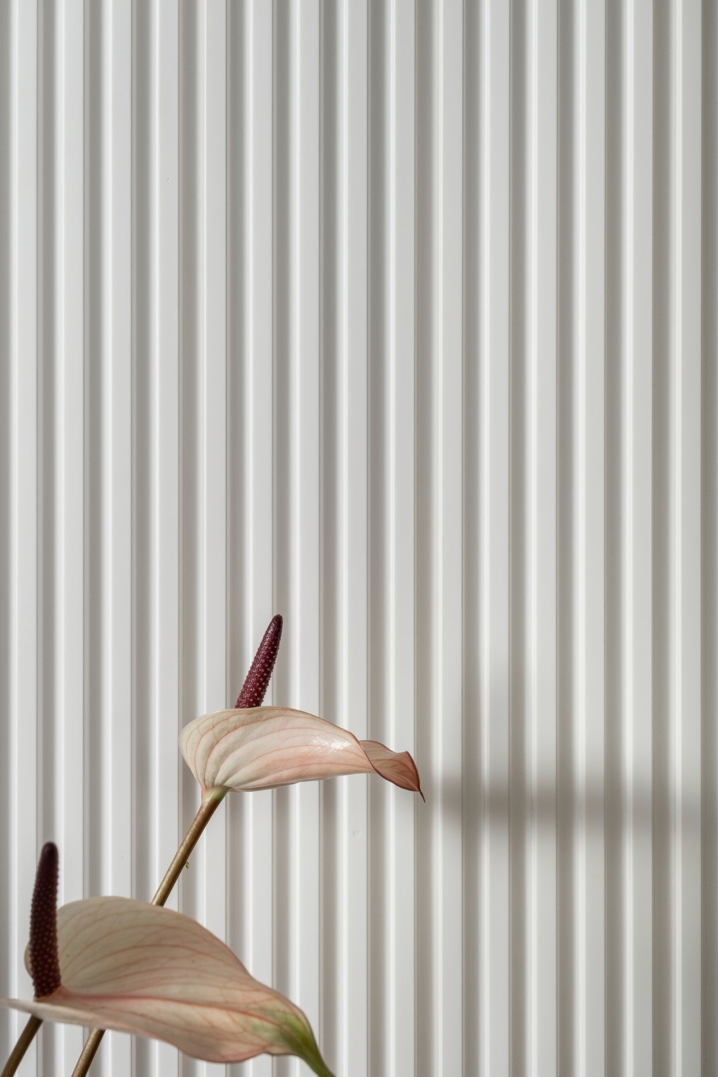 3D Wandpaneelen  L0101T